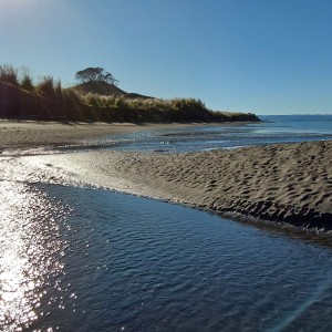 Kāwhia beach access - what’s going on?