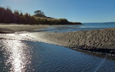 Kāwhia beach access - what’s going on? 