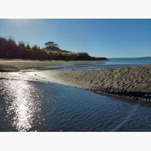 KĀWHIA BEACH ACCESS - WHAT IS GOING ON? 
