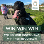 Ōtorohanga’s Top Dogs – And How You Could Win Your Rego Back!