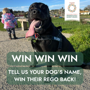 Ōtorohanga’s Top Dogs – And How You Could Win Your Rego Back!
