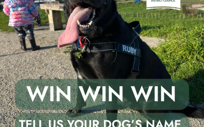 Ōtorohanga’s Top Dogs – And How You Could Win Your Rego Back!