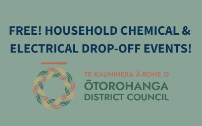 GET RID OF HOUSEHOLD CHEMICALS AND ELECTRICAL ITEMS