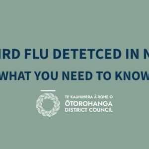 BIRD FLU DETECTED IN NEW ZEALAND – WHAT YOU NEED TO KNOW