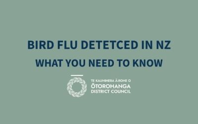 BIRD FLU DETECTED IN NEW ZEALAND – WHAT YOU NEED TO KNOW