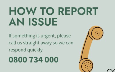 HOW TO REPORT AN ISSUE