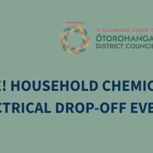 GET RID OF HOUSEHOLD CHEMICALS AND ELECTRICAL ITEMS