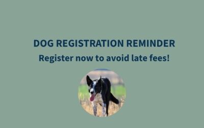 GOOD DOGS GO GREEN THIS YEAR – REGISTER YOUR DOG NOW!