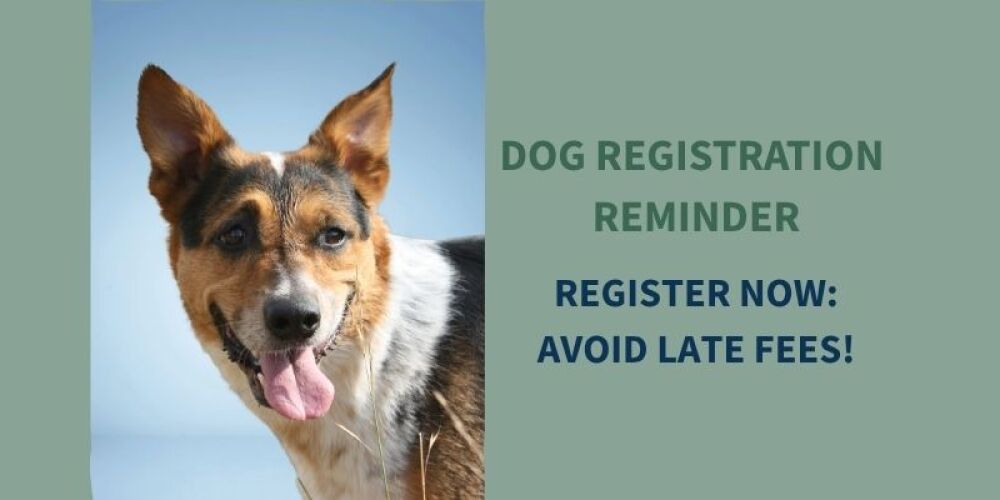 GOOD DOGS GO GREEN THIS YEAR – REGISTER YOUR DOG NOW!