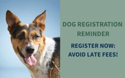 GOOD DOGS GO GREEN THIS YEAR – REGISTER YOUR DOG NOW!