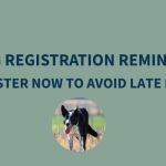 GOOD DOGS GO GREEN THIS YEAR – REGISTER YOUR DOG NOW!