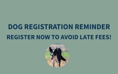 GOOD DOGS GO GREEN THIS YEAR – REGISTER YOUR DOG NOW!