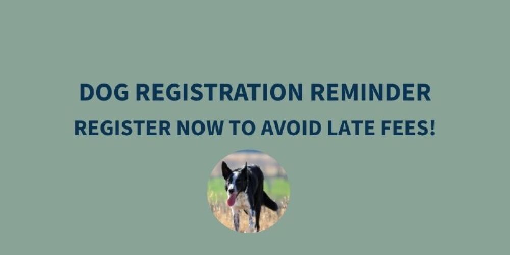GOOD DOGS GO GREEN THIS YEAR – REGISTER YOUR DOG NOW!