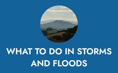 HELPFUL ADVICE AND TIPS