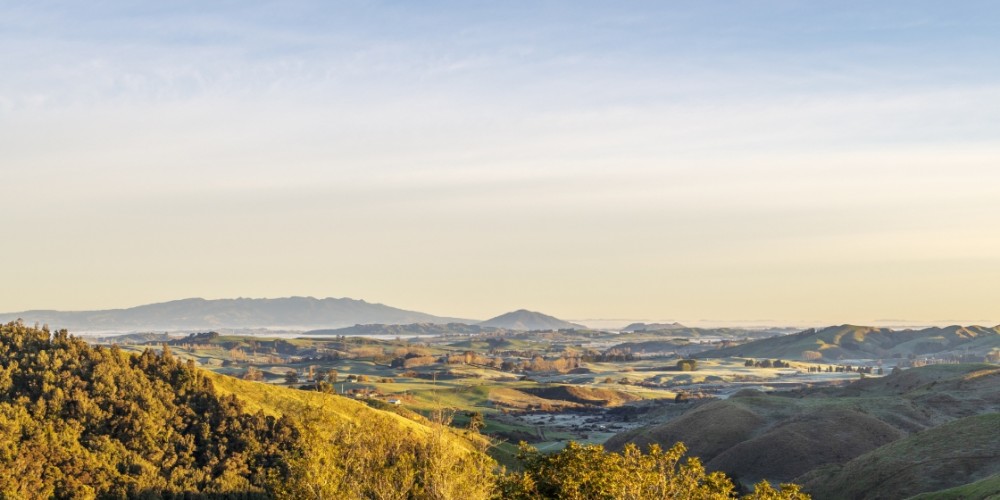 A logo for Council - not a rebrand for Ōtorohanga