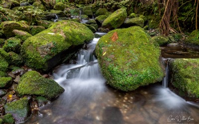 Local Water Done Well - Public Consultation Overview