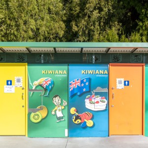 Bylaw review - Structures and Works in Public Places