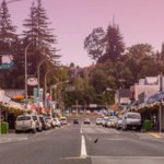 Schedule for our Ōtorohanga main street decorative lights 