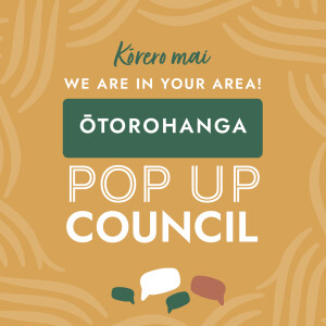 POP UP COUNCIL – THIS SATURDAY