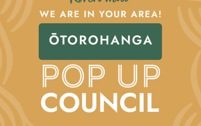 POP UP COUNCIL – THIS SATURDAY