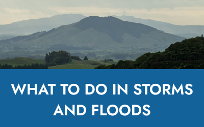 STORMS AND FLOODS TIPS