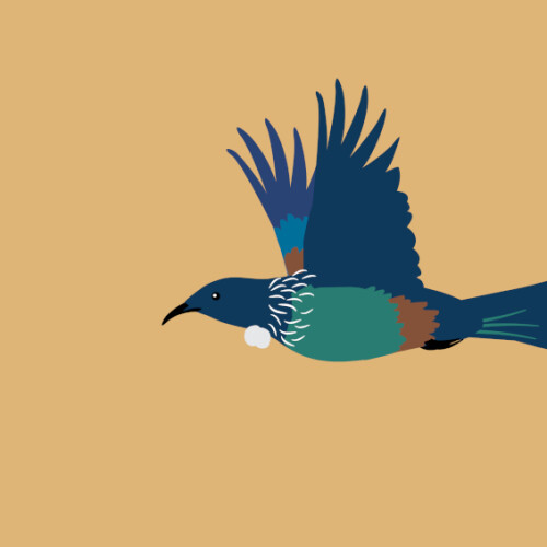 Decision - Targa Rally 2025